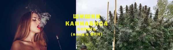 ешки Дмитриев
