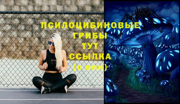 ешки Дмитриев