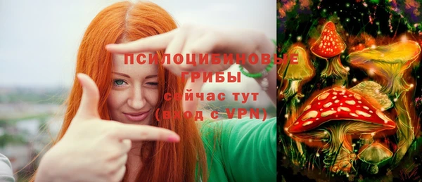 ешки Дмитриев