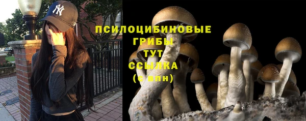ешки Дмитриев