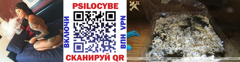 Галлюциногенные грибы Magic Shrooms  Купить  Камышлов 